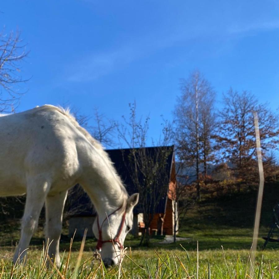 Eco Kutak Villa Mojkovac Dış mekan fotoğraf
