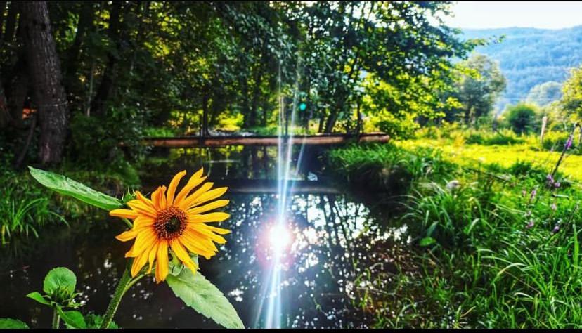 Eco Kutak Villa Mojkovac Dış mekan fotoğraf