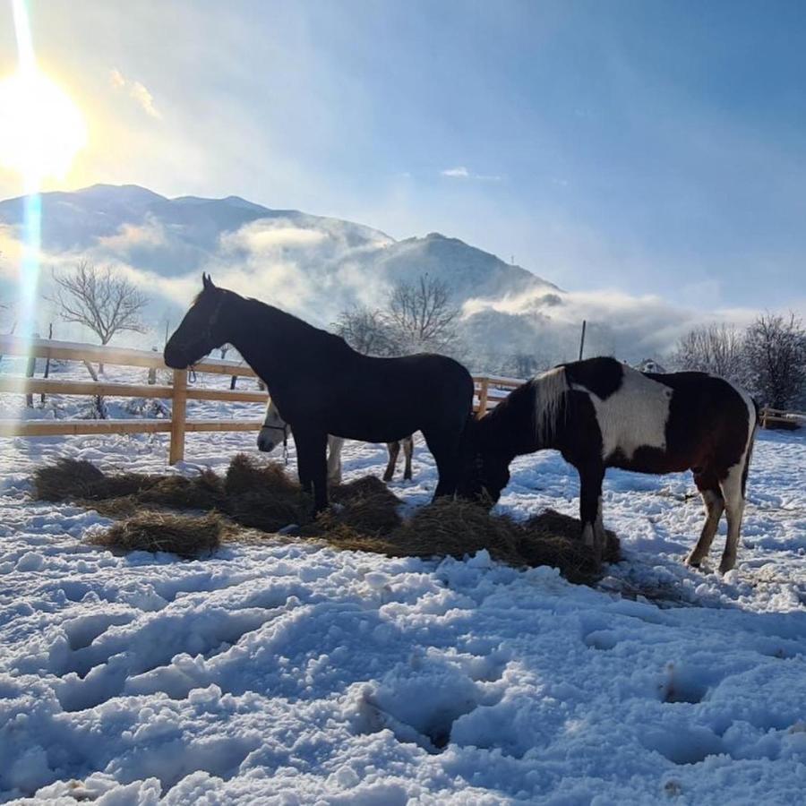 Eco Kutak Villa Mojkovac Dış mekan fotoğraf